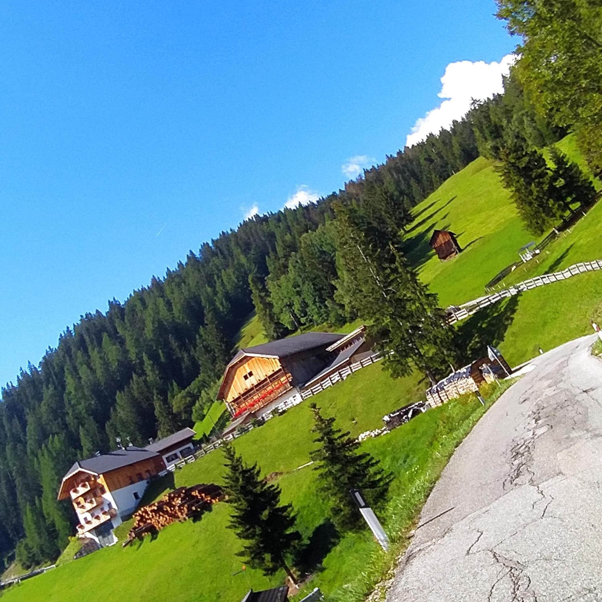 Ferienwohnung Lüch Picedac Wengen Exterior foto